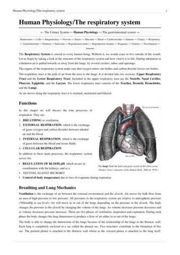 Human Physiology/The Respiratory System - Saylor Academy