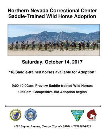 Saddle Horse Adoption - Blm.gov