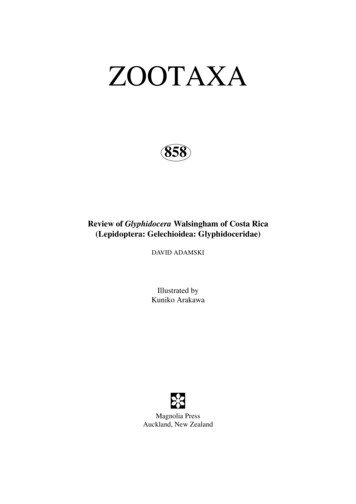 Zootaxa, Lepidoptera, Gelechioidea, Glyphidoceridae)