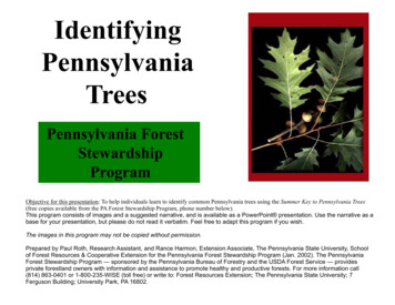Identifying Pennsylvania Trees - Pennsylvania Envirothon