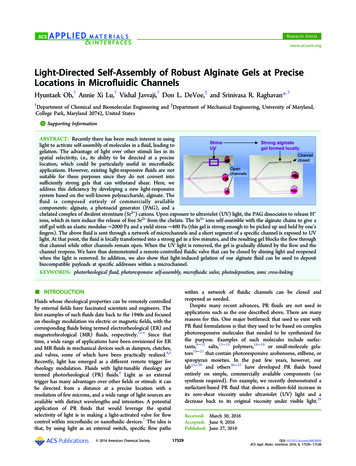 Light-Directed Self-Assembly Of Robust Alginate Gels At Precise .