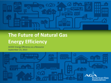 The Future Of Natural Gas Energy Efficiency - ACEEE