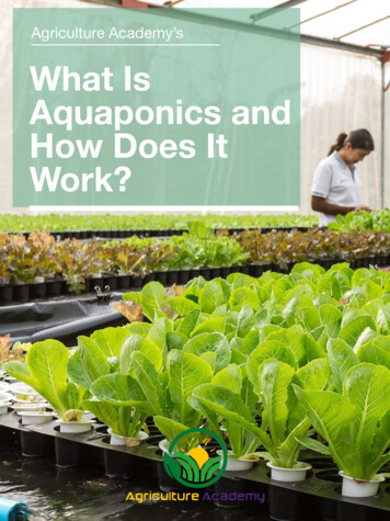Agriculture Academy's What Is Aquaponics And How Does It Work?