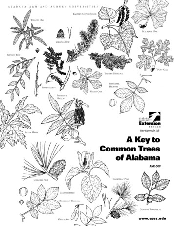 A Key To Common Trees Of Alabama - ALEX
