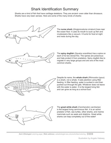 Shark Identification Summary - Arizona State University