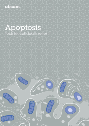 Apoptosis - Biotech
