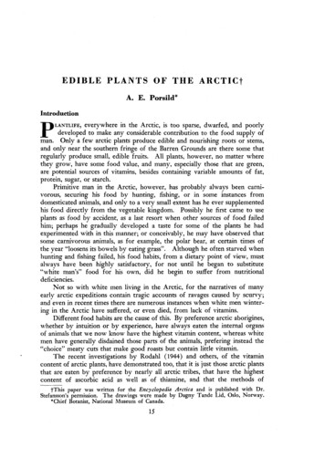 Edible Plants Of The Arctic