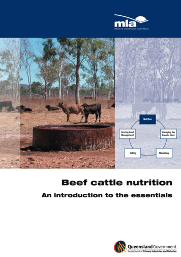 Beef Cattle Nutrition - FutureBeef