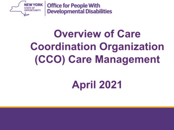 Overview Of Care Coordination Organization (CCO) Care Management