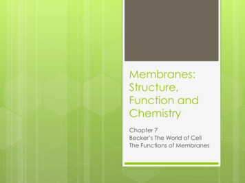 Membranes: Structure, Function And Chemistry
