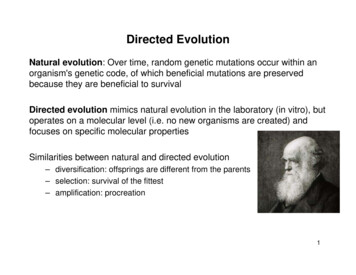 Directed Evolution - University At Buffalo