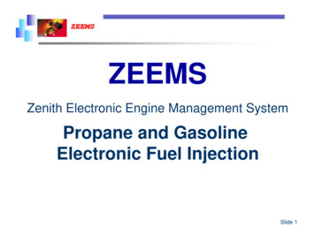 Zenith Electronic Engine Management System