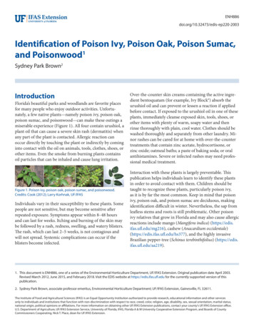 Identification Of Poison Ivy, Poison Oak, Poison Sumac, And Poisonwood