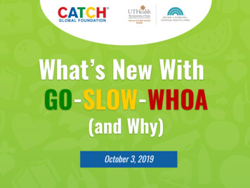 What's New With GO-SLOW-WHOA - CATCH
