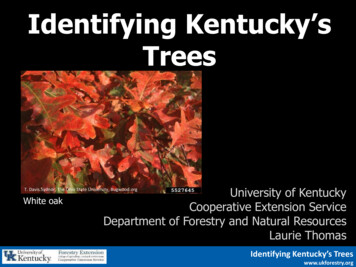 Identifying Kentucky's Trees - University Of Kentucky