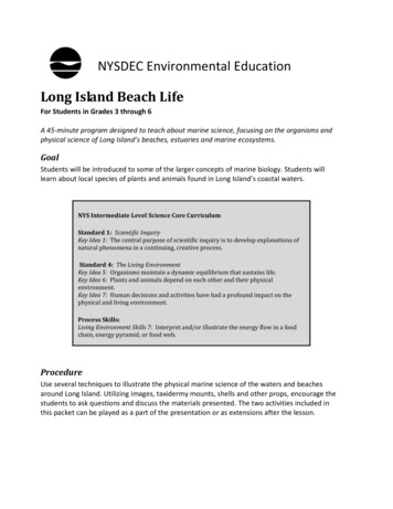 NYSDEC Environmental Education