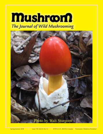 The Journal Of Wild Mushrooming