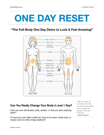 One Day Reset -New - Stephen Cabral