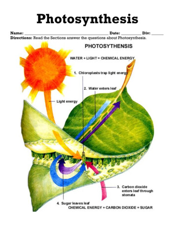 Photosynthesis - Ms A Science Online Msascienceonline.weebly 