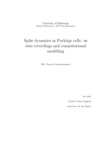Spike Dynamics In Purkinje Cells: In Vivo Recordings And . - Weebly