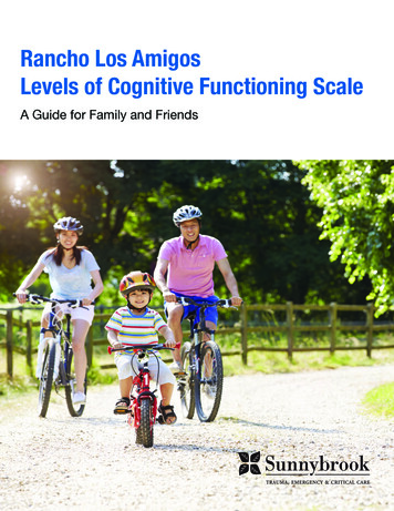 Rancho Los Amigos Levels Of Cognitive Functioning Scale