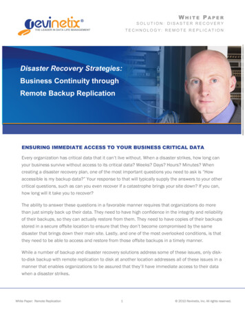 Business Continuity Through Remote Backup Replication