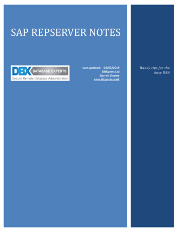 SAP Repserver Notes - DBXperts