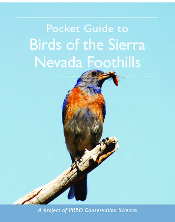 Pocket Guide To Birds Of The Sierra Nevada Foothills