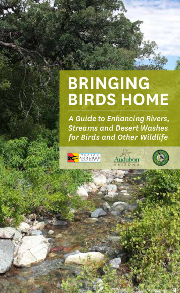 A Guide To Enhancing Rivers, Streams And Desert Washes For Birds And .
