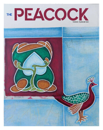 THE PEACOCK PEACOCK - International Film Festival Of India