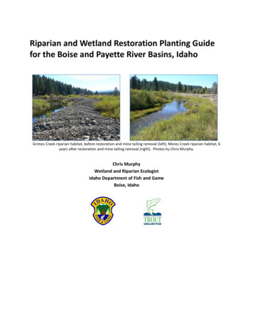 Riparian And Wetland Restoration Planting Guide For The Boise And .