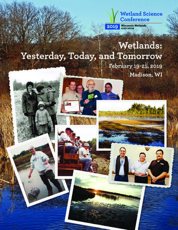 Wetlands: Yesterday, Today, And Tomorrow