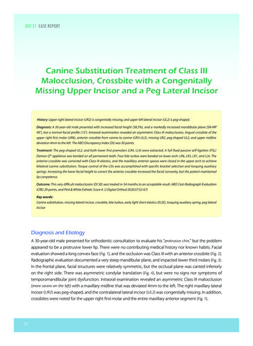 Canine Substitution Treatment Of Class III Malocclusion . - IAOI