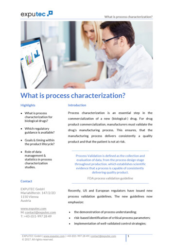 What Is Process Characterization? - Samedan Ltd