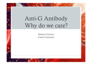 Anti-G Antibody RG - Blood