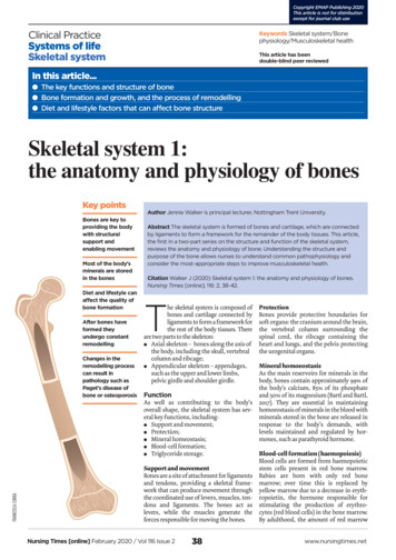 Skeletal System 1: The Anatomy And Physiology Of Bones - Emap