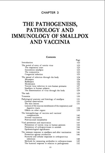 The Pathogenesis, Pathology And Immunology Of Smallpox And Vaccinia - Lsu
