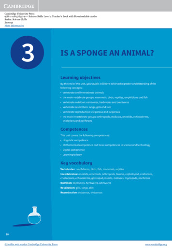 IS A SPONGE AN ANIMAL? - Cambridge University Press
