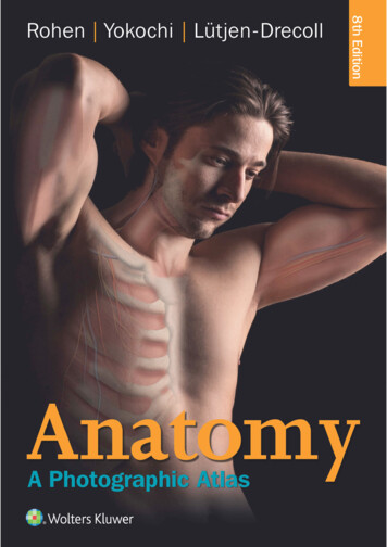 Anatomy: A Photographic Atlas - Booksca.ca