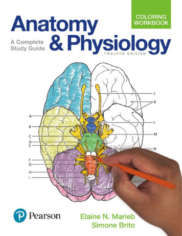 Anatomy & Physiology - جامعة الرازي
