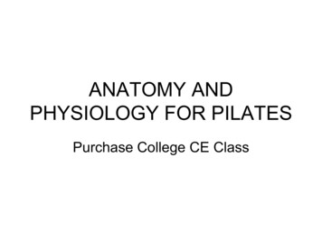 ANATOMY AND PHYSIOLOGY FOR PILATES - Learn Muscles