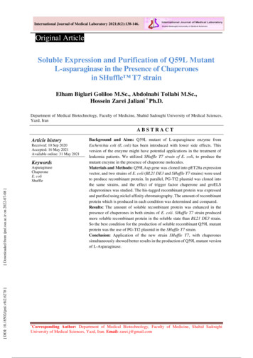 Soluble Expression And Purification Of Q59L Mutant L-asparaginase In .