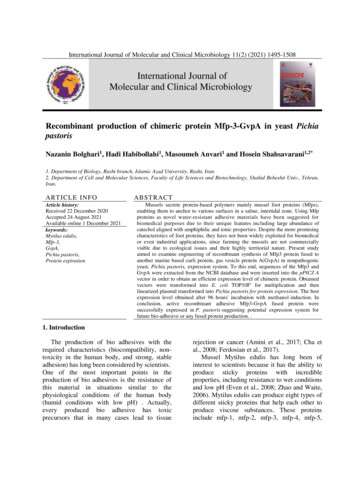 International Journal Of Molecular And Clinical Microbiology