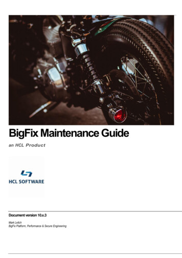BigFix Maintenance Guide