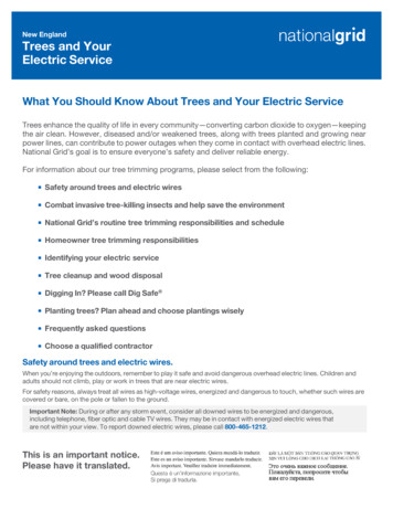 Trees And Your Electric Service - National Grid