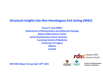 Structural Insights Into Non-Homologous End Joining (NHEJ)