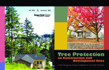 Tree Protection On Construction And Development Sites