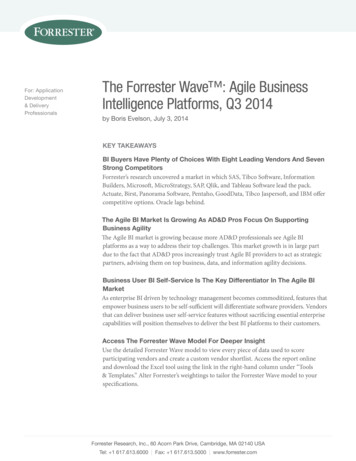 The Forrester Wave : Agile Business - Primenumerics