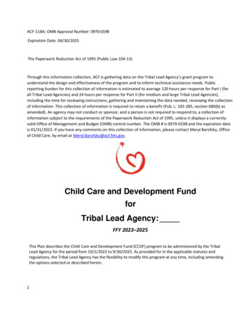 Child Care And Development Fund For Tribal Lead Agency