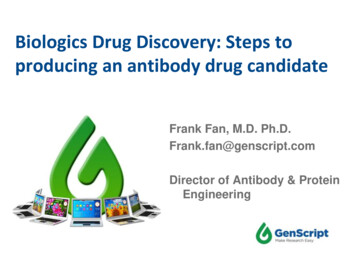 Biologics Drug Discovery: Steps To Producing An Antibody . - GenScript